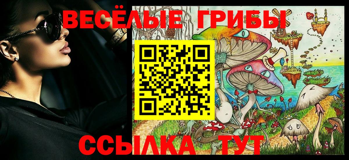Галлюциногенные грибы Psilocybe Коркино