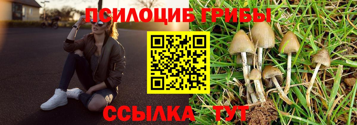 Коркино  Галлюциногенные грибы Psilocybe  где купить   Вход с VPN  Псилоцибиновые грибы мицелий 